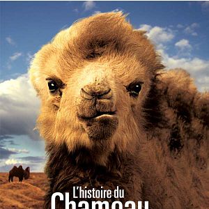 Bilder Die Geschichte vom weinenden Kamel