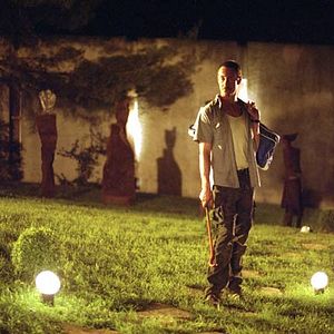 Bilder François Levantal