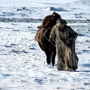 Bilder In Casablanca fliegen keine Engel