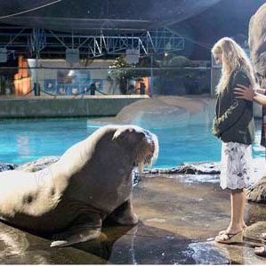 Bilder Drew Barrymore