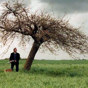 Bilder Dominique Boccarossa