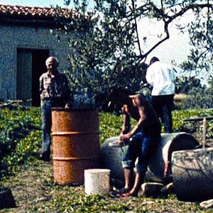 Bilder Michelangelo Frammartino