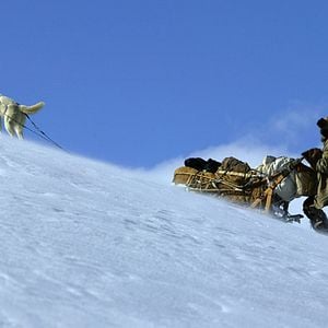 Bilder Norman Winther