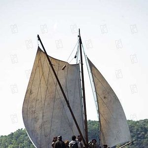 Bilder Terrence Malick