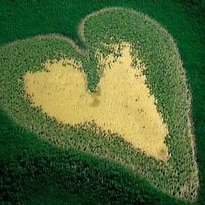 Bilder Die Erde von oben