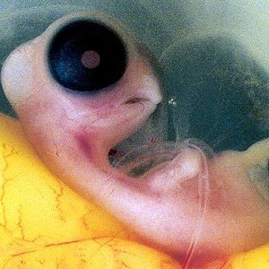 Bilder Marie Pérennou