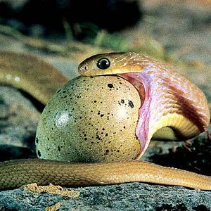 Bilder Marie Pérennou