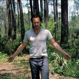 Bilder David Gordon Green