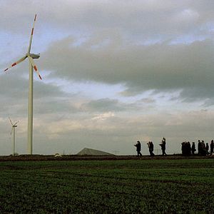 Bilder Michael Schorr