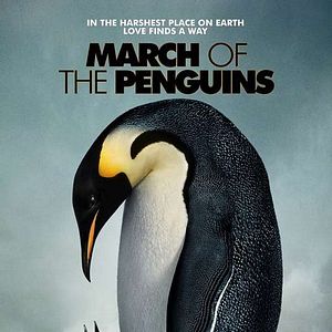 Bilder Die Reise der Pinguine