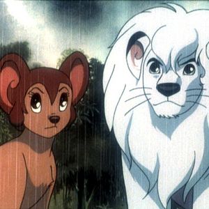 Bilder Jungle Emperor Leo