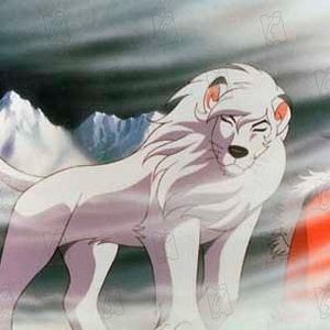 Bilder Jungle Emperor Leo