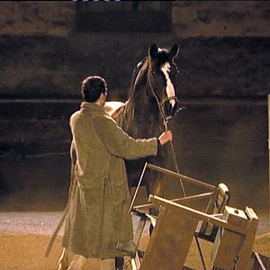 Bilder Patricia Mazuy