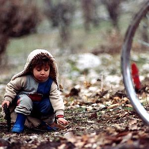 Bilder Bahman Ghobadi