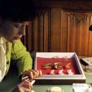 Bilder Hélène de Fougerolles