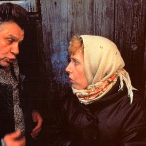 Bilder Rjaba, mein Hühnchen