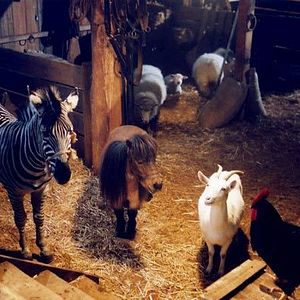 Bilder Frederik Du Chau