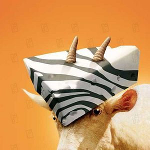 Bilder Frederik Du Chau