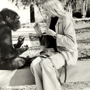 Bilder Barbet Schroeder