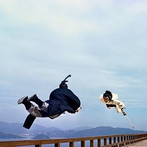 Bilder Das Schwert des gelben Tigers