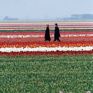 Bilder Serge Frydman