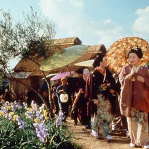 Bilder Madame Butterfly