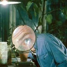 Bilder Dänische Delikatessen - Darf's ein bisschen mehr sein?