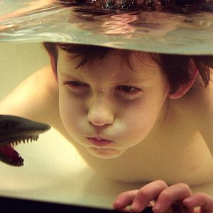 Bilder Catarina Ruivo