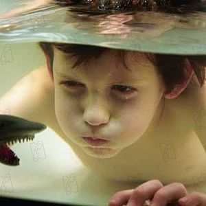 Bilder Catarina Ruivo