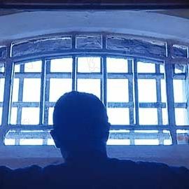 Bilder Das Recht des Stärkeren