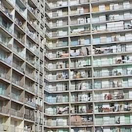 Bilder Das Recht des Stärkeren