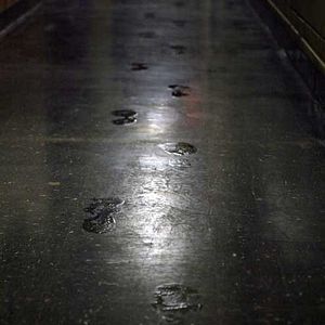 Bilder Dark Water - Dunkle Wasser