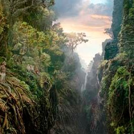 Bilder Peter Jackson