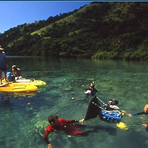 Bilder Greg MacGillivray