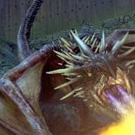 Bilder Harry Potter und der Feuerkelch