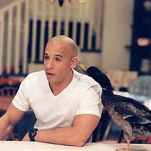 Bilder Adam Shankman