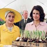 Bilder Valérie Lemercier