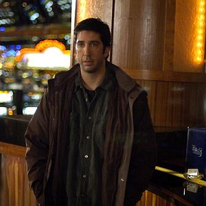 Bilder David Schwimmer