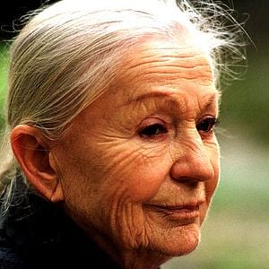 Bilder Nicolas Guillou