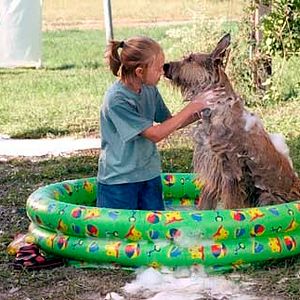 Bilder AnnaSophia Robb