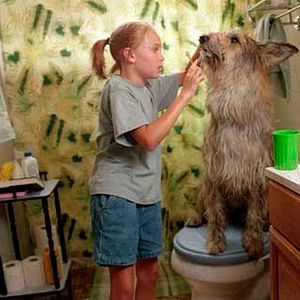 Bilder AnnaSophia Robb