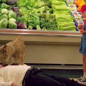 Bilder AnnaSophia Robb