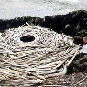 Bilder Thomas Riedelsheimer