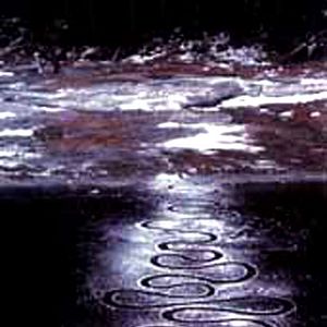 Bilder Thomas Riedelsheimer