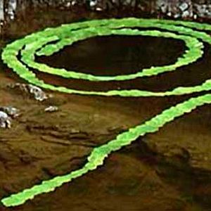 Bilder Thomas Riedelsheimer