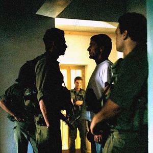 Bilder Saverio Costanzo