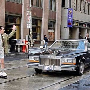 Bilder Cool And Fool