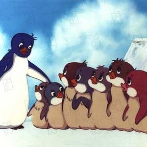 Bilder Kenji Yoshida