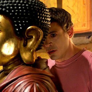 Bilder Robert Downey Jr.