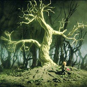 Bilder Garri Bardine